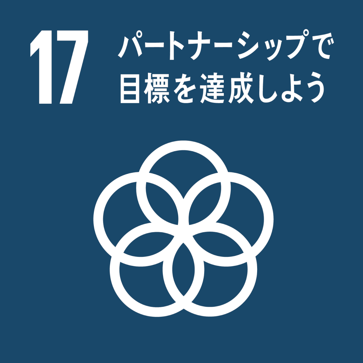 ゴール17 パートナーシップで目標を達成しよう